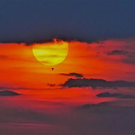 Aux Portes D'aubrac 2 Personnes 3* Condom-d'Aubrac