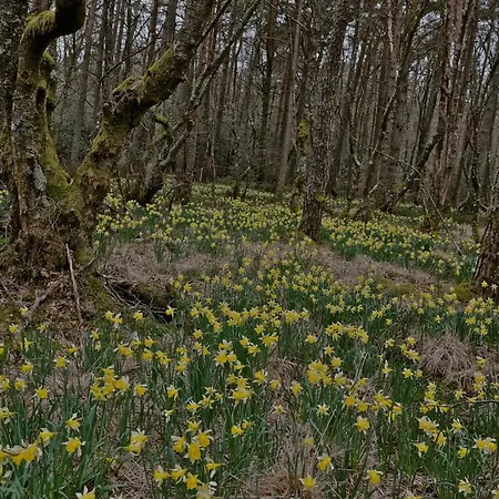 Nocleg ze śniadaniem Aux Portes D'aubrac 2 Personnes 3*