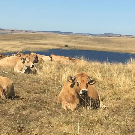 Aux Portes D'aubrac 2 Personnes 3*