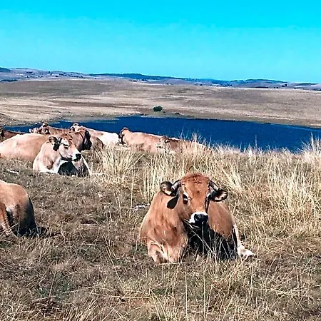 Bed & Breakfast Aux Portes D'aubrac 2 Personnes