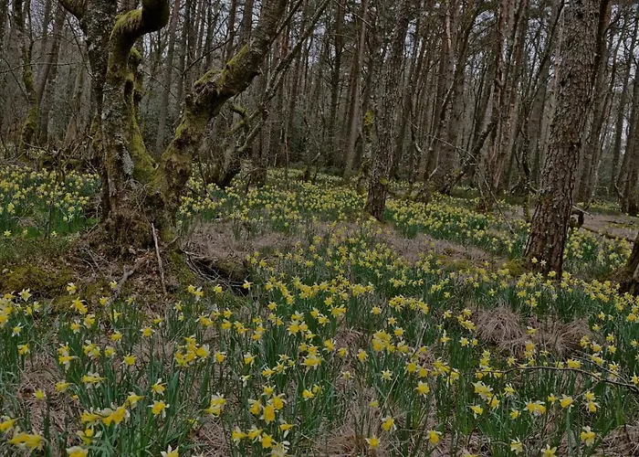 Frühstückspension Aux Portes D'aubrac 2 Personnes 3*