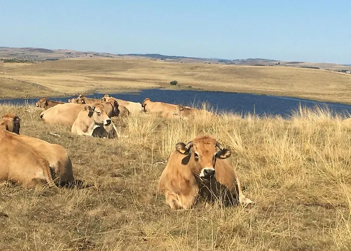 Aux Portes D'aubrac 2 Personnes 3*